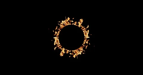 Real Fire Set on Black Background Vídeos de archivo 122581095