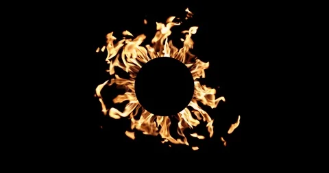 Real Fire Set on Black Background Vídeos de archivo 122581172