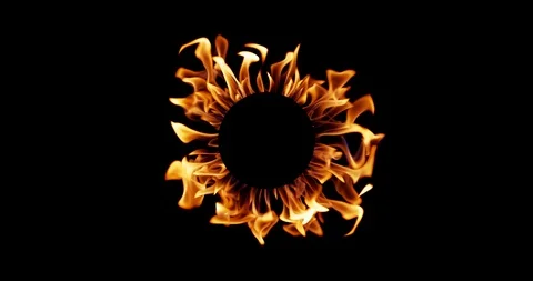 Real Fire Set on Black Background Vídeos de archivo 122581238