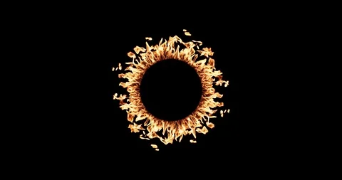 Real Fire Set on Black Background Vidéo 122581580