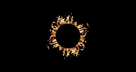 Real Fire Set on Black Background Stock-Footage 122581667