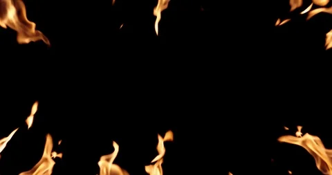 Real Fire Set on Black Background Vídeo Stock 122581807