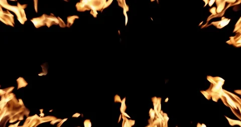 Real Fire Set on Black Background Vídeo Stock 122581961