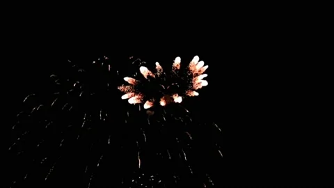 Real Firework close up on Deep Black Background Sky  Stock Footage 209418769