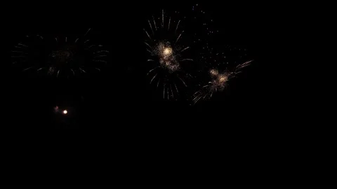 Real Fireworks display night background. Colorful fireworks festival and New  Stock Footage 189756177