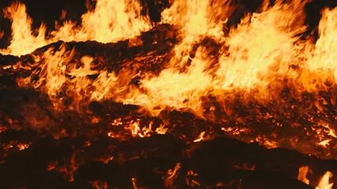 The real flame of a huge fire Stock Footage 100686967