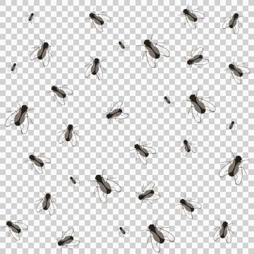 Real flys cool pattern Illustrazione stock