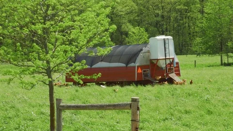 Real free range chickens Stock Footage 75462110