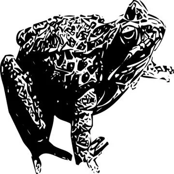 Real frog vector, shot on the Seven Rila Lakes, Bulgaria Stock Illustration