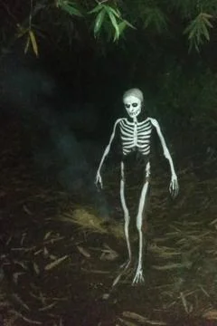 Real ghost in a dark forest Fotos de archivo