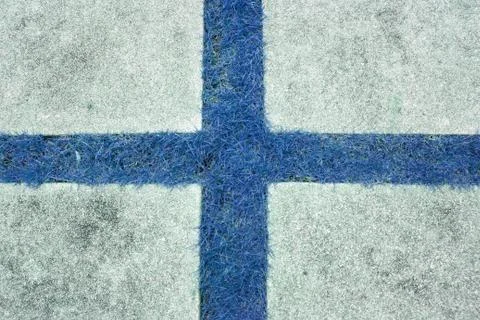 Real grass Foto stock