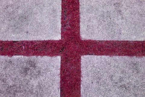 Real grass Stock Photos