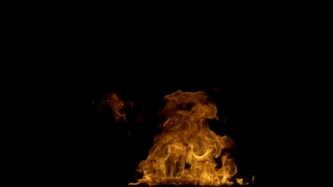 Real Ground Fire Burning with Flames and Smoke – Cinematic Fire Background 库存影片 343551536
