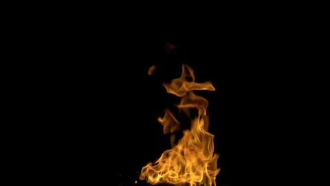Real Ground Fire Burning with Flames and Smoke – Cinematic Fire Background Video stock 343551938