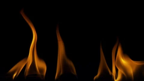 Real Ground Fire Burning with Flames and Smoke – Cinematic Fire Background Vídeos de archivo 343552147