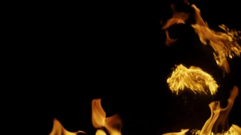 Real Ground Fire Burning with Flames and Smoke – Cinematic Fire Background 스톡 동영상 343552202