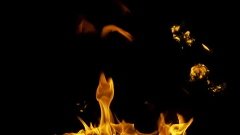 Real Ground Fire Burning with Flames and Smoke – Cinematic Fire Background 스톡 동영상 343552432