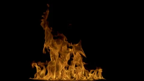 Real Ground Fire Burning with Flames and Smoke – Cinematic Fire Background Video stock 343553189