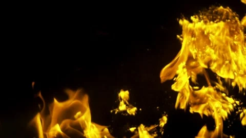 Real Ground Fire Burning with Flames and Smoke – Cinematic Fire Background 動画素材 343553885