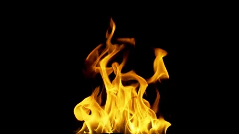 Real Ground Fire Burning with Flames and Smoke – Cinematic Fire Background 스톡 동영상 343554065