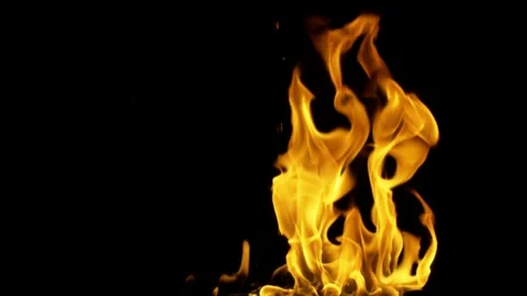 Real Ground Fire Burning with Flames and Smoke – Cinematic Fire Background 스톡 동영상 343554127