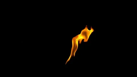 Real Ground Fire Burning with Flames and Smoke – Cinematic Fire Background 库存影片 343554136