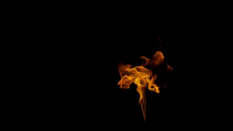 Real Ground Fire Burning with Flames and Smoke – Cinematic Fire Background 스톡 동영상 343554482