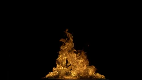 Real Ground Fire Burning with Flames and Smoke – Cinematic Fire Background Video stock 343554639