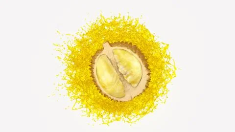 The Real Half of Durian drop down into water splash from back on white backgr Stock Illustration
