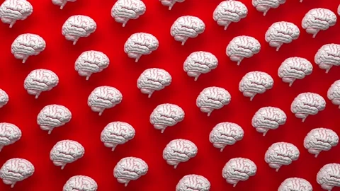 Real human brain internal cerebrum organ model Stock Footage 144454710