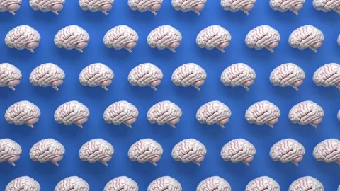 Real human brain internal cerebrum organ model seamless looping background Stock Footage 147457617