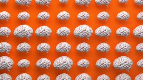 Real human brain internal cerebrum organ model animated background Stock Footage 149133062