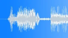 Real Human Heartbeat Single One ShotSound Effect