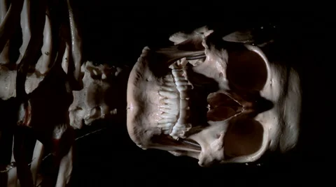 Real human skeleton spooky lighting Stock Footage 1009447