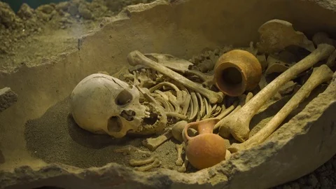 Real human skull and bones in museum as were found during excavations Stock Footage 98931442