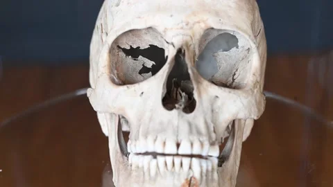 Real Human skull, close up. Symbol of death. Stock Footage 263781386