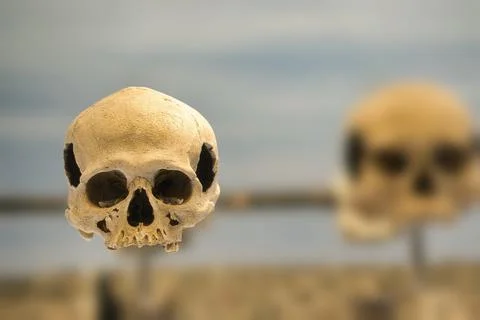 Real human skull with copy space Stock Photos