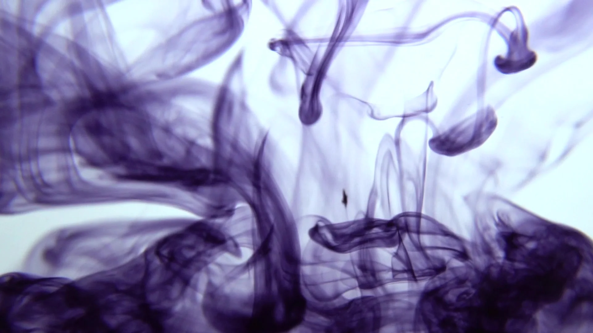 Real Ink Drop In Water Mysterious Plum Stock Video Pond5