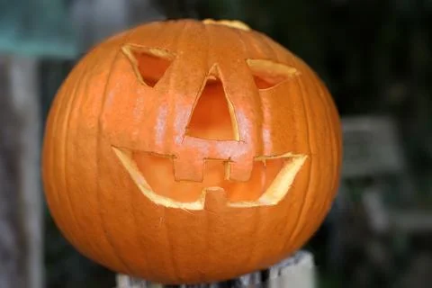Real Jack-o-Lantern  Stock Photos