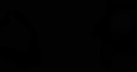 Real lens flare effect Isolated on black background. 4k Footage Stock-Footage 220060675