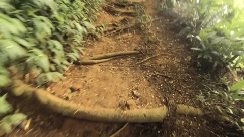 Real life camera holding shaking view look down walking on the mud road stream w Stock Footage 245443710
