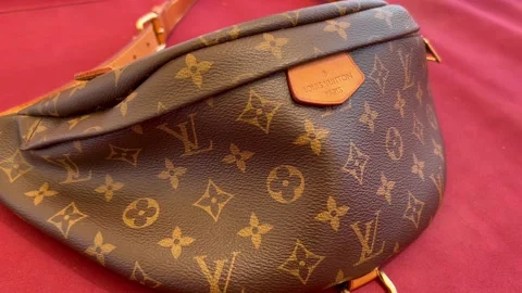 2 Monogram Lv Stock Video Footage - 4K and HD Video Clips