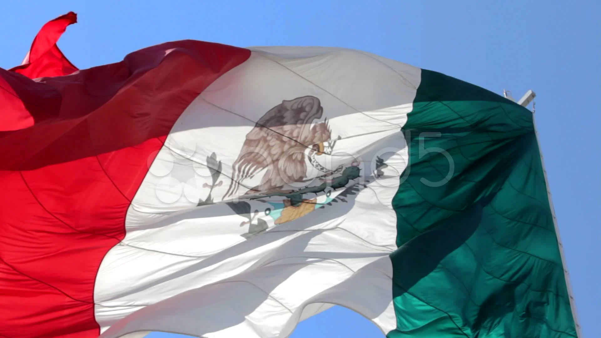 Real Mexican Flag