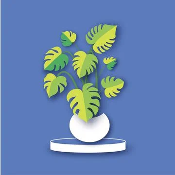 Real monstera leaves decorating for composition design.Tropical,botanical nature Stock Illustration