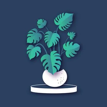 Real monstera leaves decorating for composition design.Tropical,botanical nature Stock Illustration