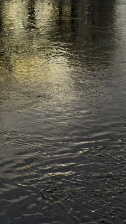 Real Moody River Reflection for Reels Stories and Social Media Stock Footage 335964035