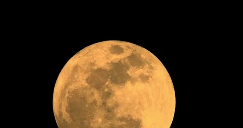 Real moon at largest also known as super moon Stock Footage 83992813