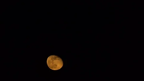 Real Moon At Largest Also Known As Super Moon. Stock-Footage 105170630