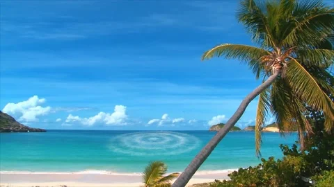 Real Motion Ocean Foam Waves Animation Loop Stock Footage 325328904