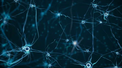 Real Neuron synapse network. Stock Footage 106334485
